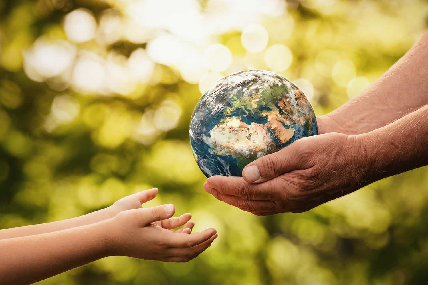 13 Tips for Sustainable Living
